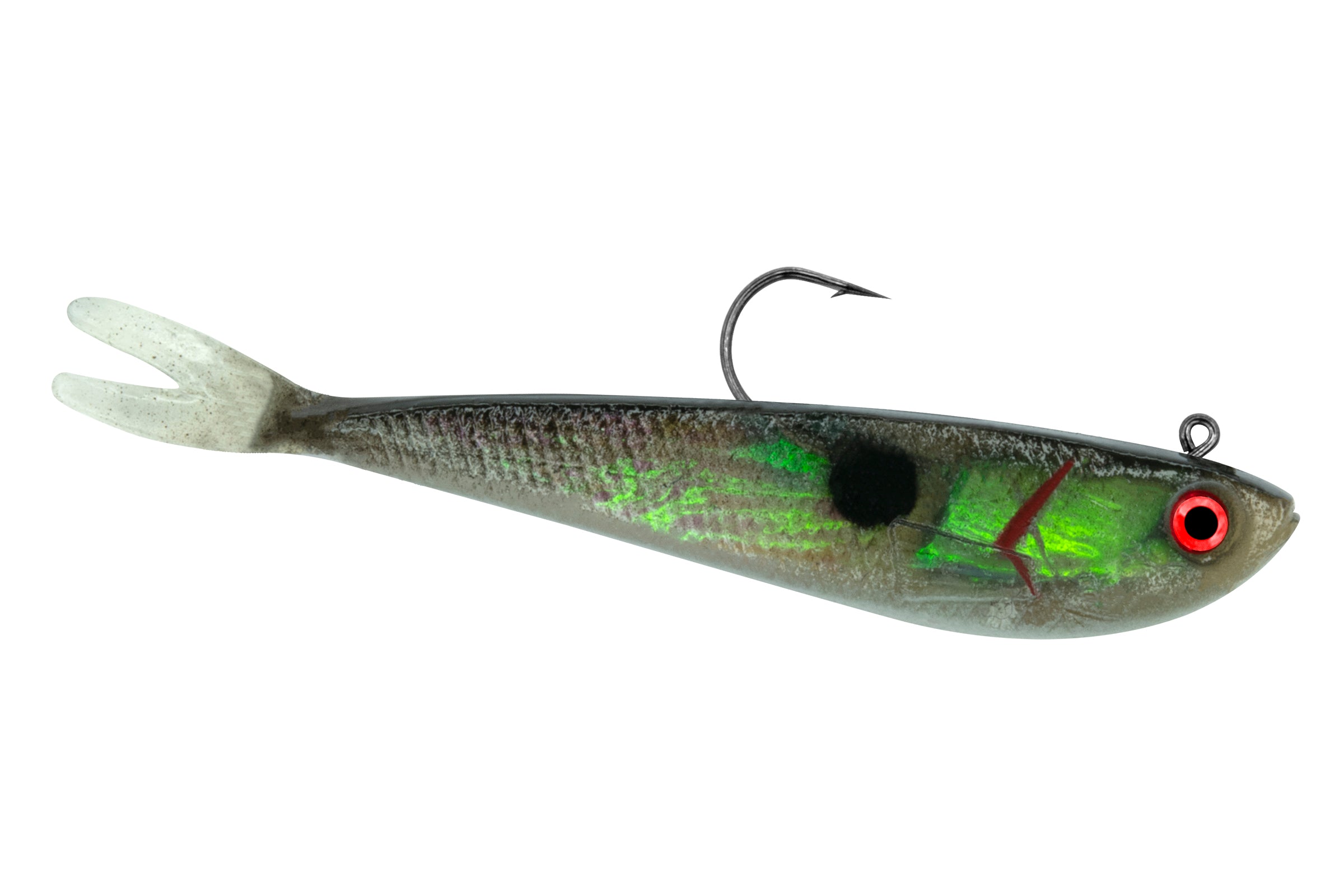 Split Tail Minnow