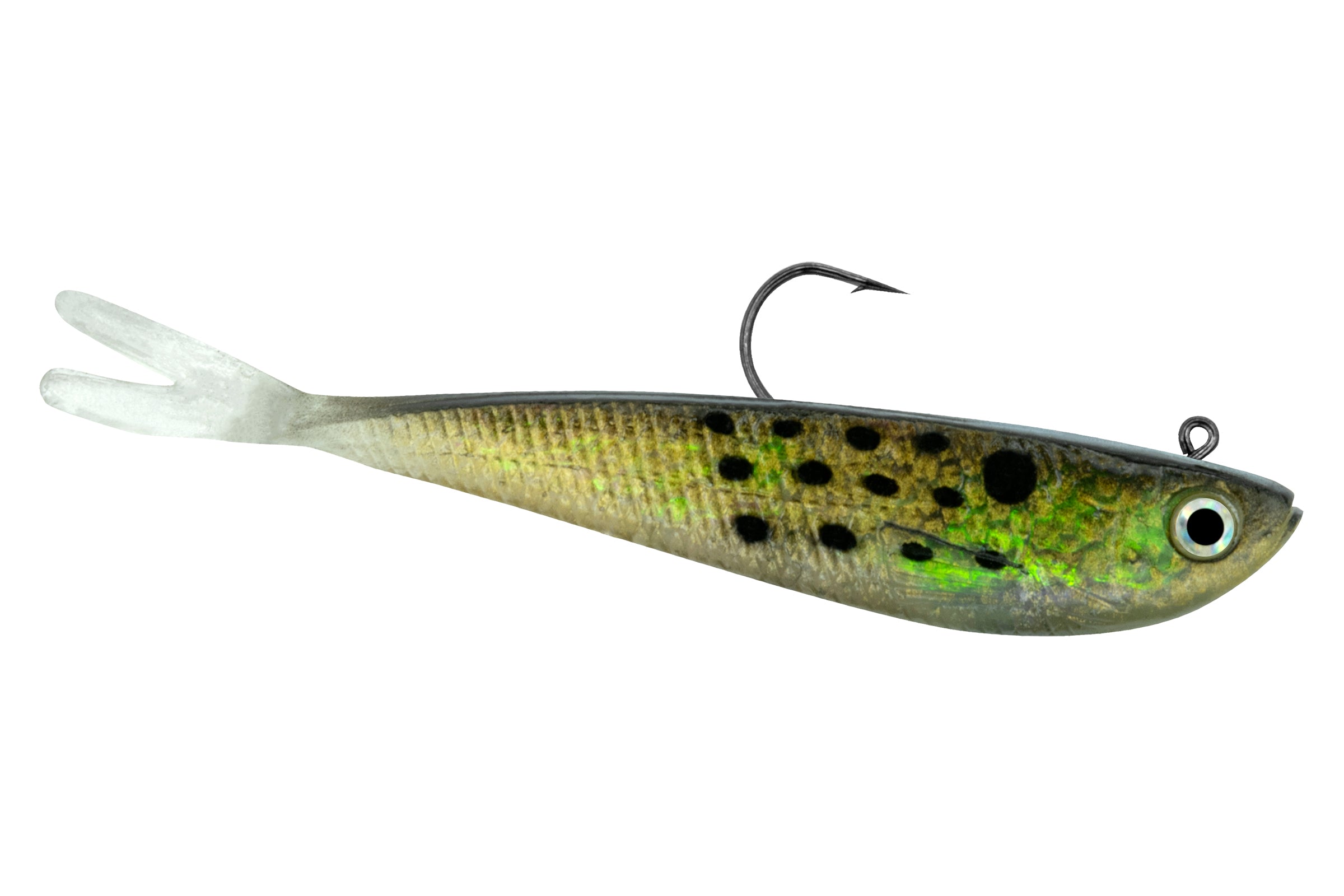 Split Tail Minnow