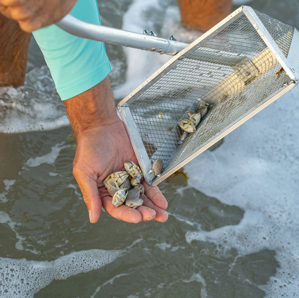 Sand Flea Rake