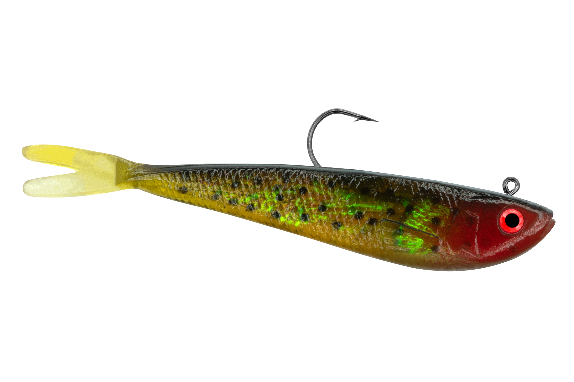 Split Tail Minnow