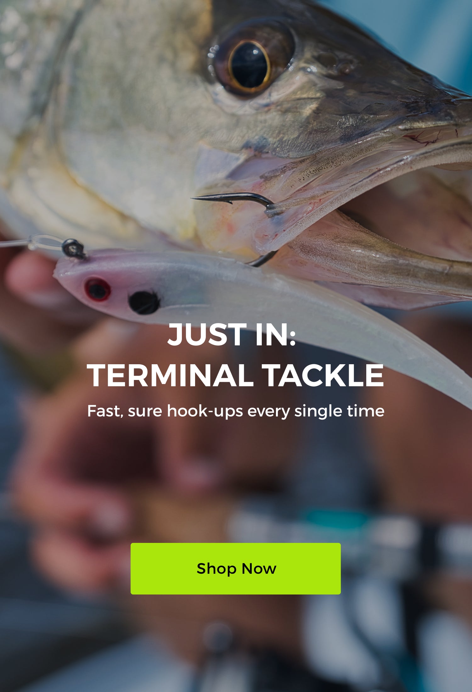Fishing Terminal Tackle
