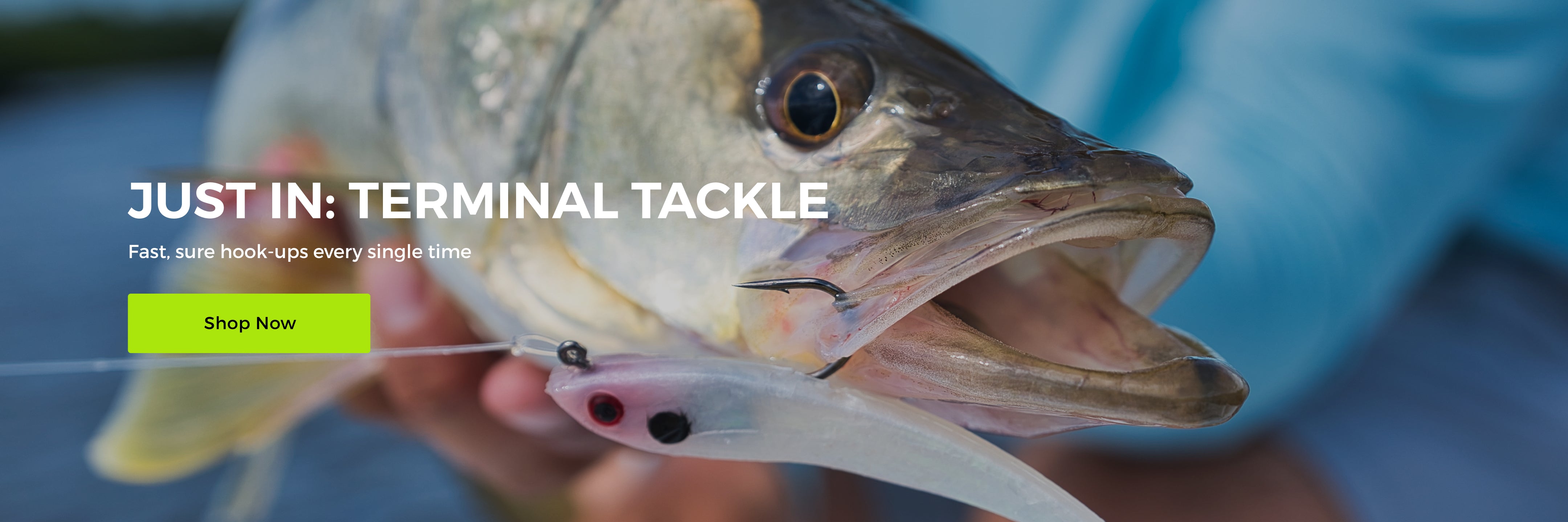 Buy Tsunami Barrel Swivel - Fishing Tackle Online at
