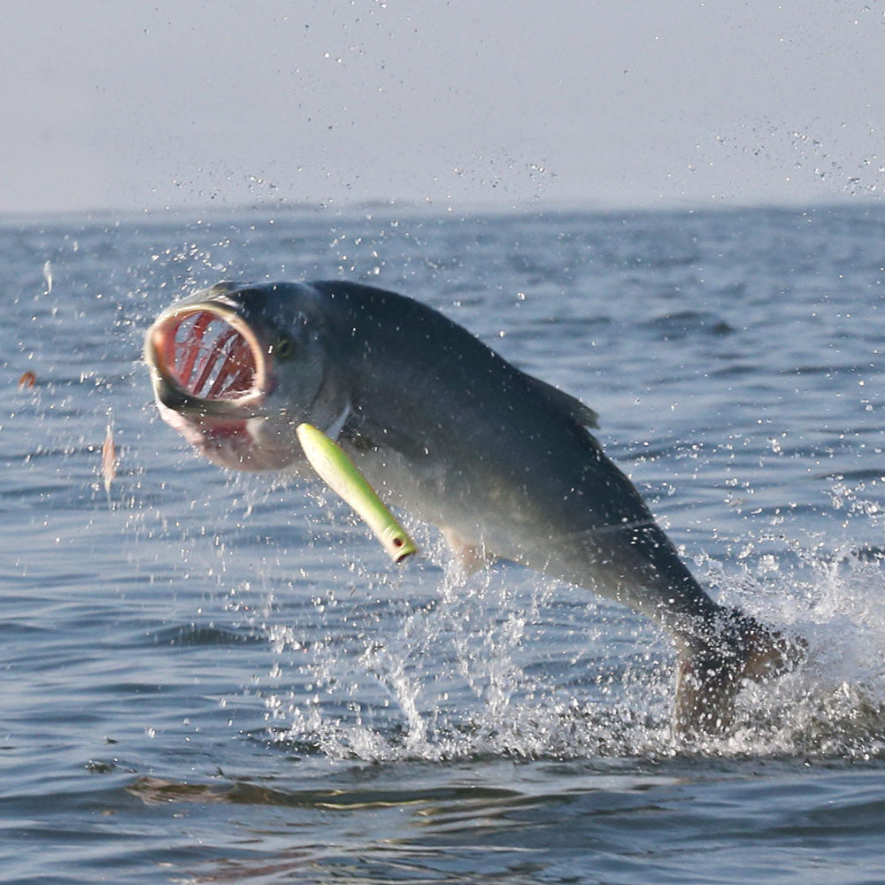 Tsunami Talking Poppers XD – Tsunami Fishing Tackle
