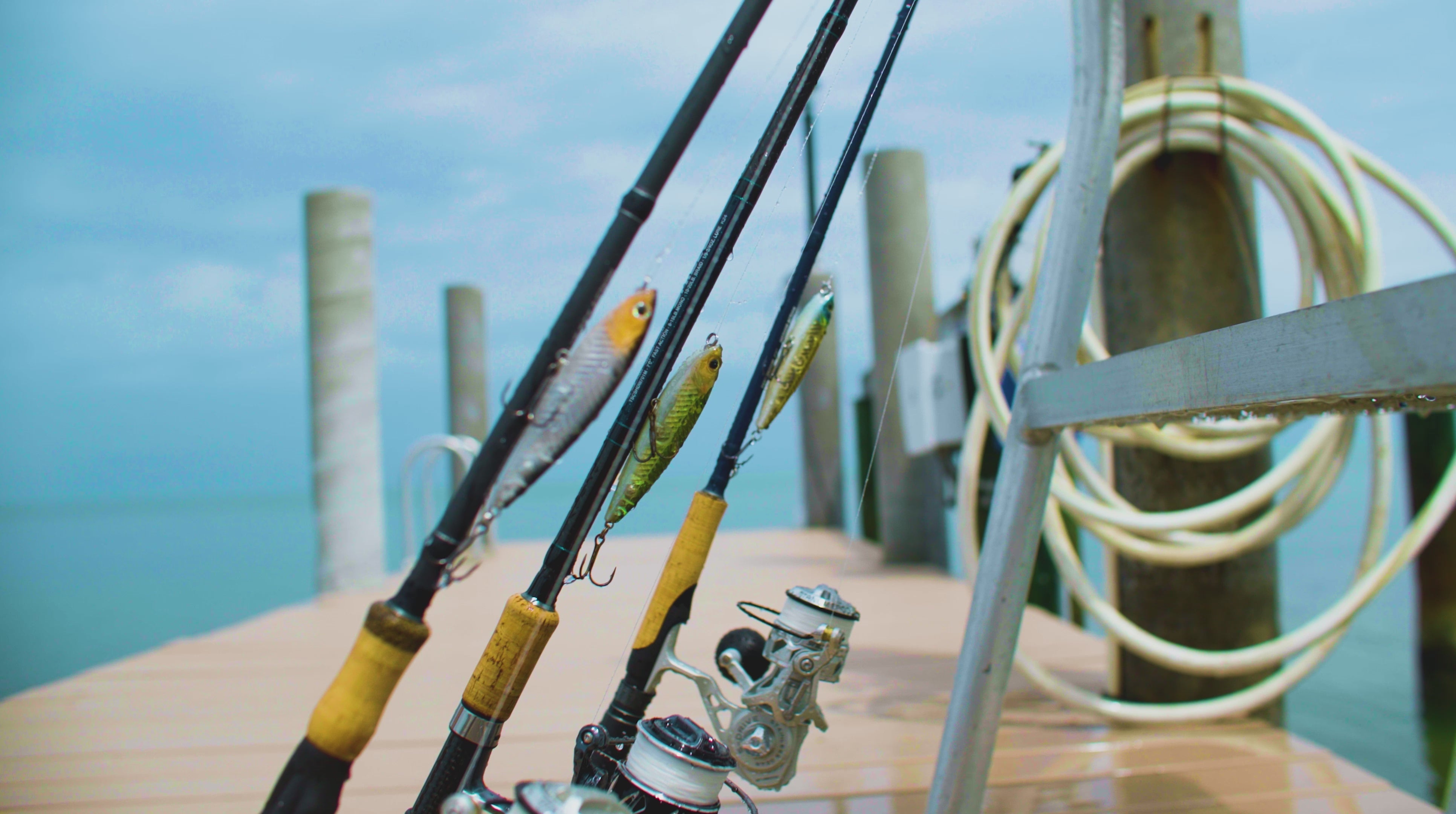 Load video: Tsunami Fishing Baits